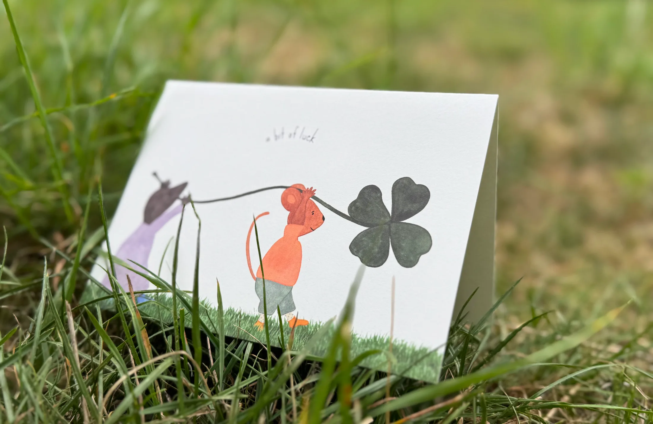 Dubbele wenskaart - a bit of luck - Afbeelding 4