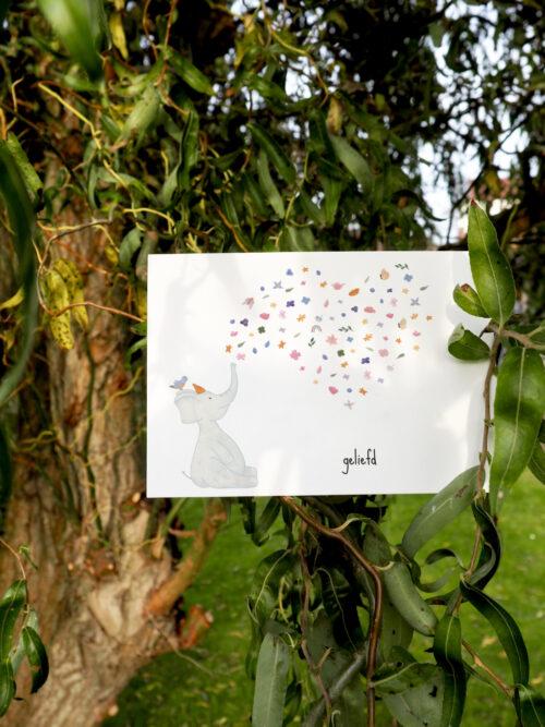 Postkaart - geliefd - Afbeelding 2